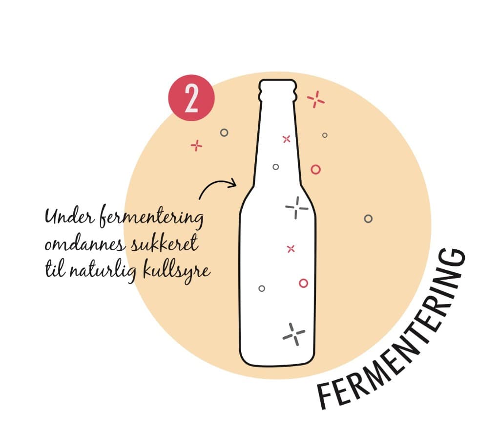 Steg 2: Fermentering