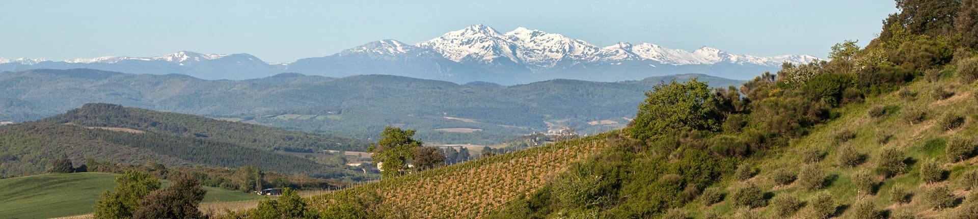 Vinmarker i Limoux