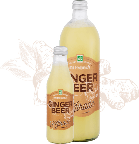 Kéfirade — Ginger Beer